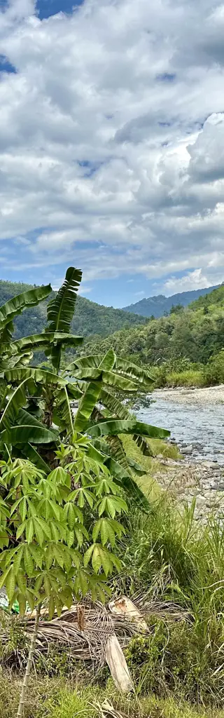 Borneo – Abenteuer Sarawak, Sabah und Brunei